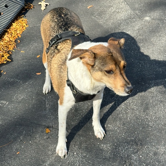 Meet your Posher, Mary - Picture 2 of 2